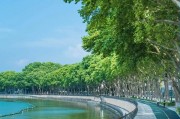 武汉休闲好去处推荐：东湖绿道，尽享自然与亲子互动乐趣